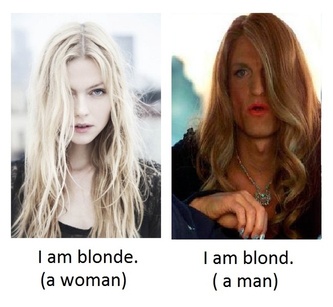 Blond vs blonde - My, English language, Linguistics