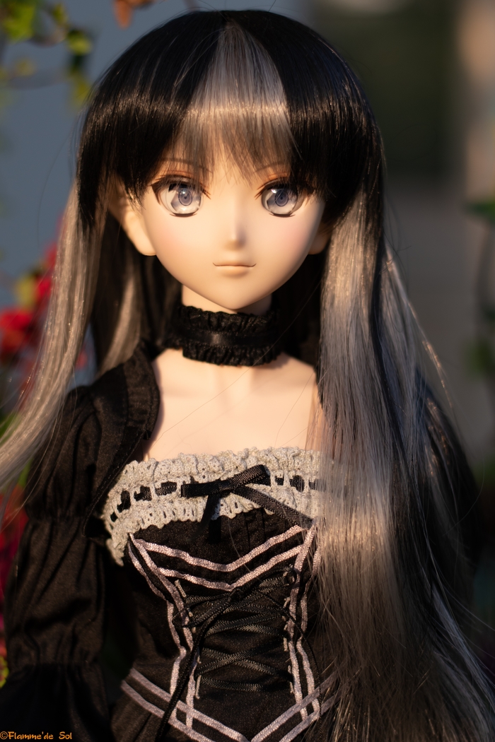 DollfieDream -    Dollfiedream,  , , , , , 