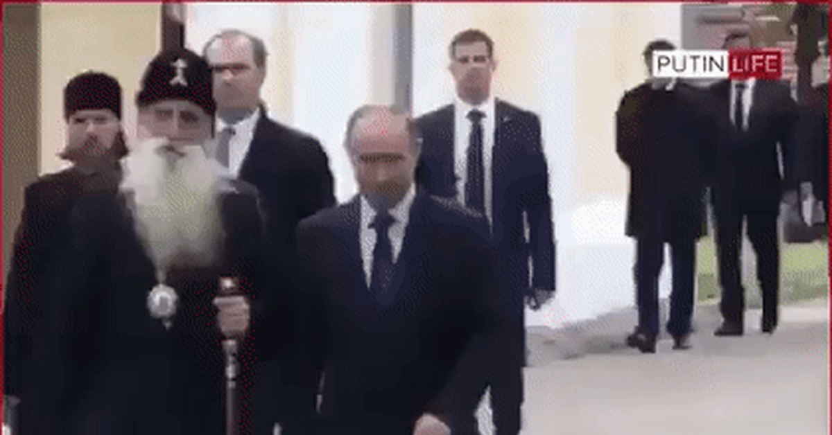 Голубь И Путин Гифка