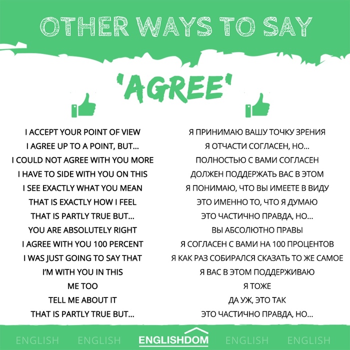 How to agree with an interlocutor in English? - My, English language, Foreign languages, Englishdom, In other words