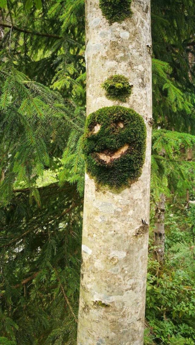 Надо, Федя, надо!