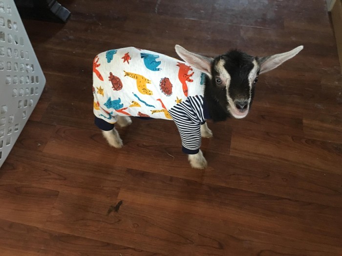 Modernization of the kid, now he is in pajamas - Reddit, Kid