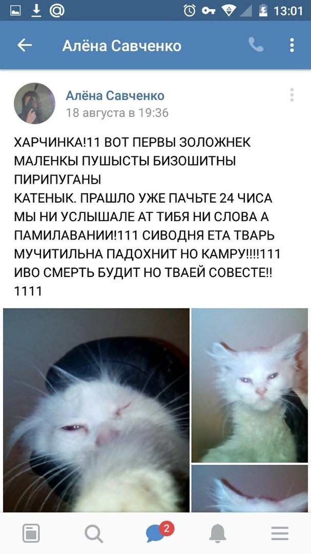 Scum from Mozyr - Republic of Belarus, Minsk, Mozyr, cat, Flailing, Search, Longpost