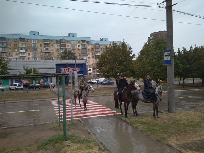 Pedestrian or mare driver? - My, Rider, Driver, A pedestrian, Traffic rules, Mariupol