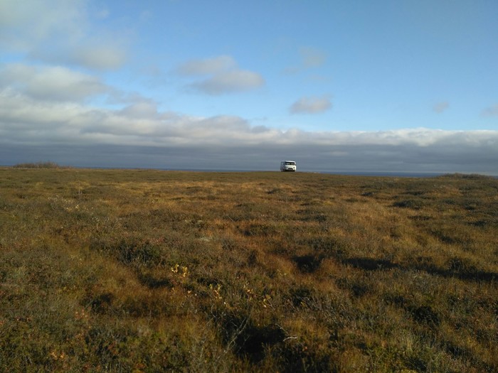 Безмятежность в НАО