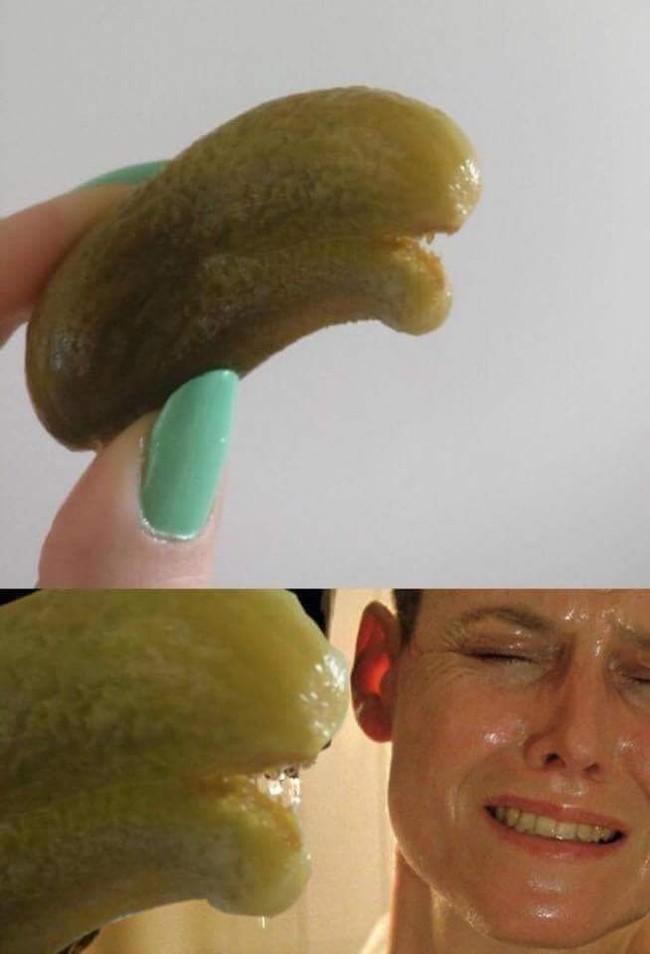 When tired of rolling cucumbers - 9GAG, Stranger