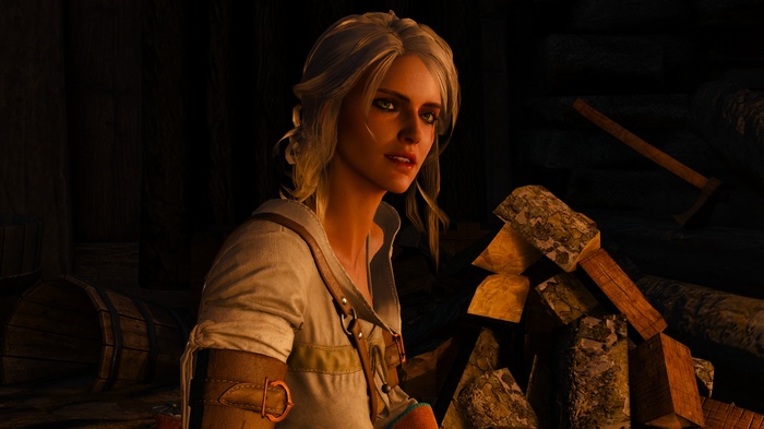 Ciri in The Witcher will be played by an Asian or African American - Witcher, Serials, Witcher 3, Ciri, Andrzej Sapkowski, Netflix, The Witcher 3: Wild Hunt