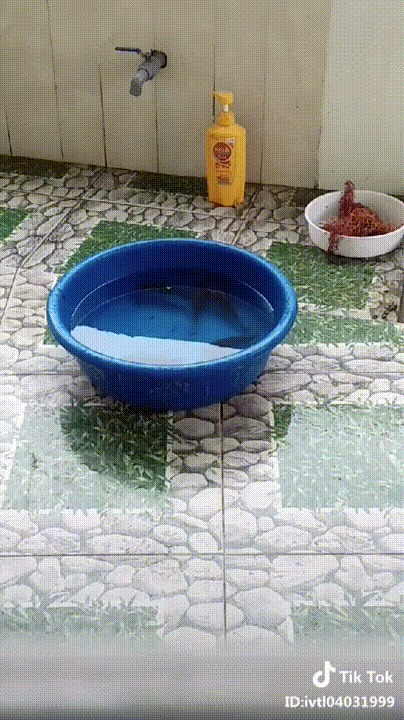 Это я удачно зашёл!