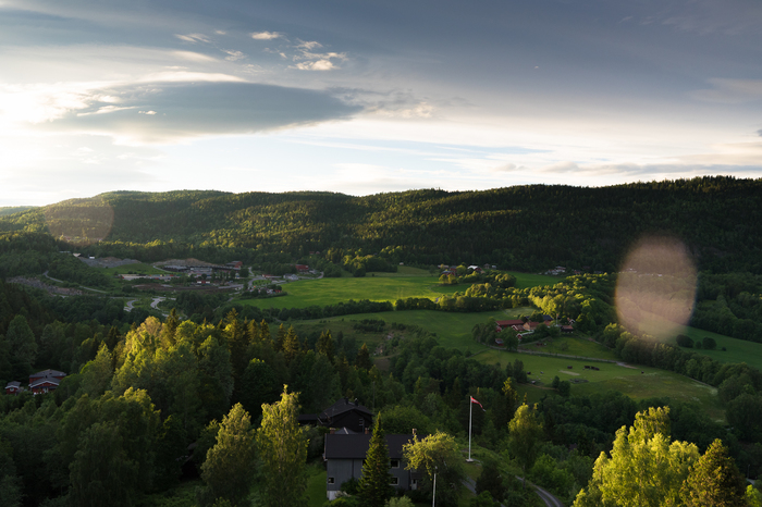 Gild our crowns... - My, Beginning photographer, The photo, Nforester, Norway, The sun