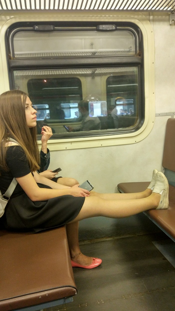 В мире животных