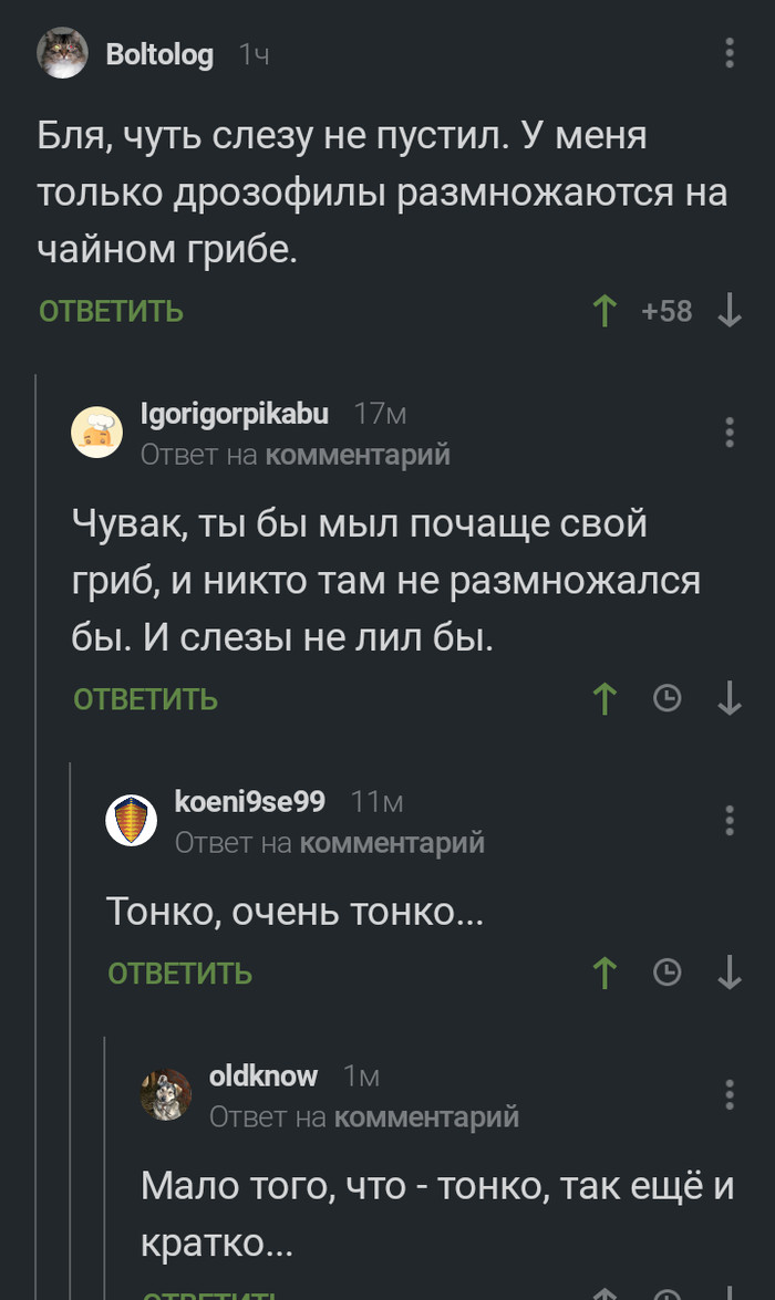 ������ ����.