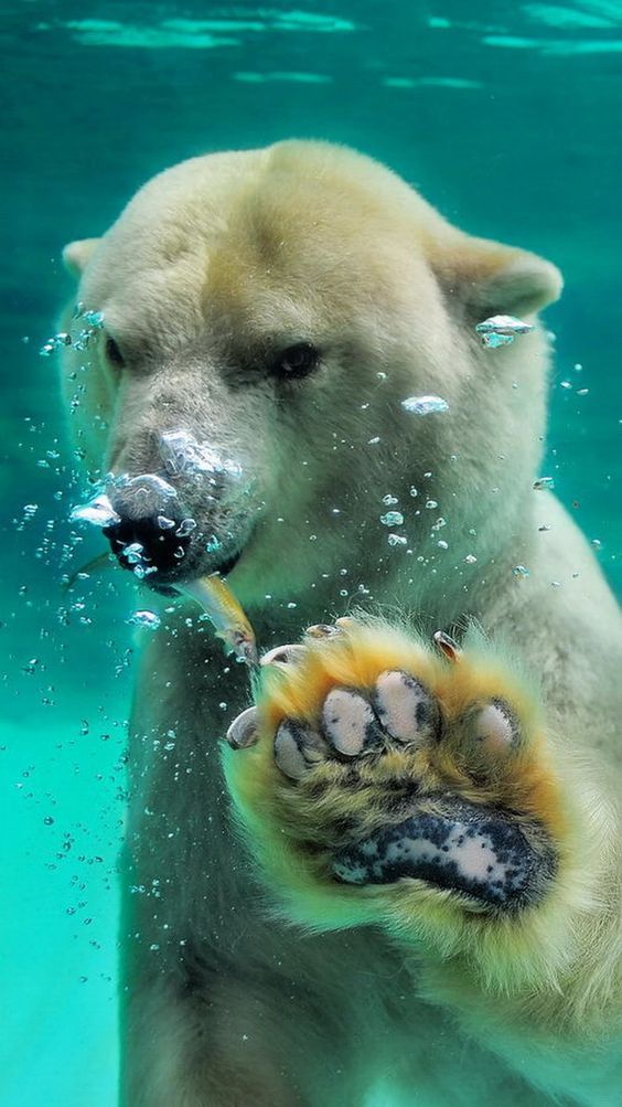 Не надо меня снимать