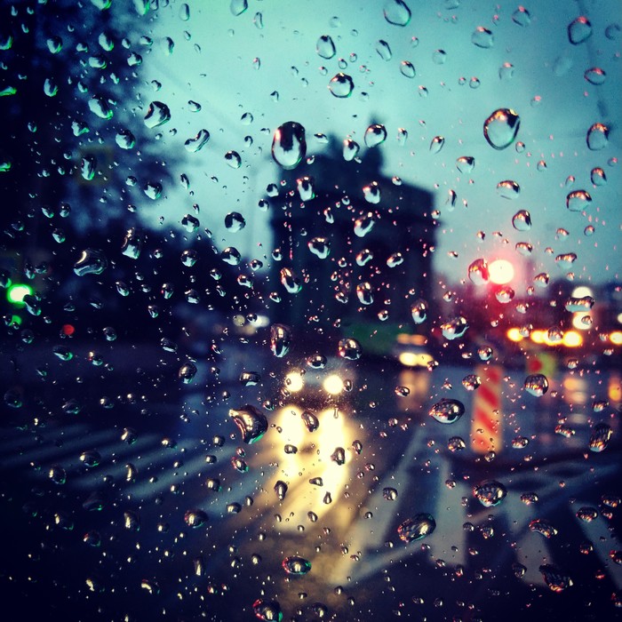Do you love rain? - My, Saint Petersburg, Tram, Rain, Good morning, Beautiful, The photo, View from the cockpit