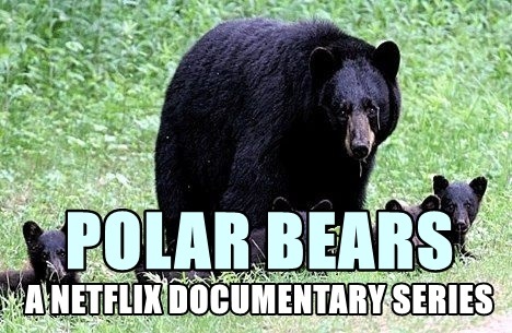 Polar bear - The Bears, Black people, Documentary, Netflix