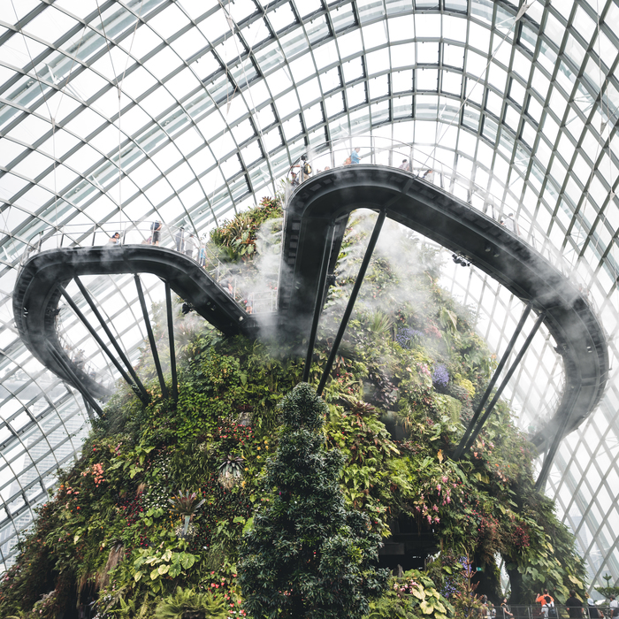 ,Cloud Forest , , , , , , 