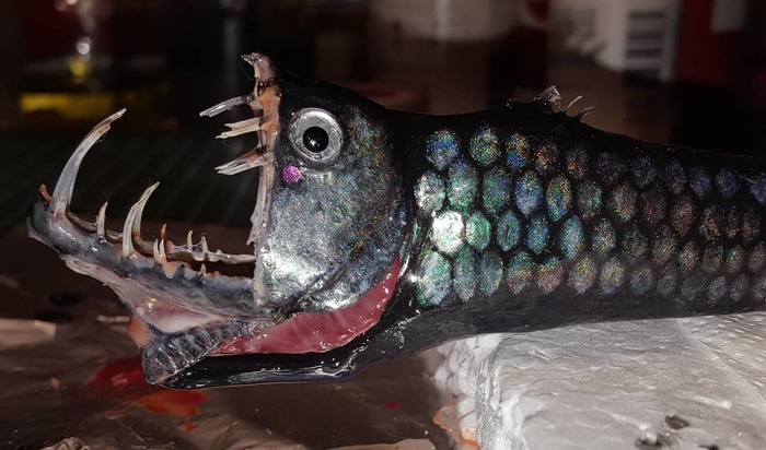 рыба капля люди в черном. Смотреть фото рыба капля люди в черном. Смотреть картинку рыба капля люди в черном. Картинка про рыба капля люди в черном. Фото рыба капля люди в черном рыба капля люди в черном. Смотреть фото рыба капля люди в черном. Смотреть картинку рыба капля люди в черном. Картинка про рыба капля люди в черном. Фото рыба капля люди в черном