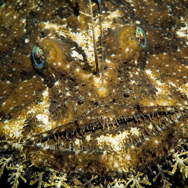 рыба капля люди в черном. Смотреть фото рыба капля люди в черном. Смотреть картинку рыба капля люди в черном. Картинка про рыба капля люди в черном. Фото рыба капля люди в черном рыба капля люди в черном. Смотреть фото рыба капля люди в черном. Смотреть картинку рыба капля люди в черном. Картинка про рыба капля люди в черном. Фото рыба капля люди в черном