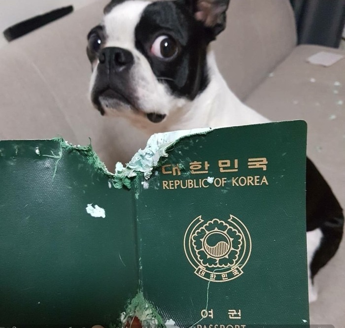 ������ ������������ � ���-��...