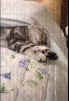 А мне так удобней!