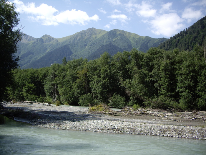 My favorite Arkhyz - My, The mountains, Forest, beauty of nature, River, Zelenchuk, Longpost, Arkhyz, The photo