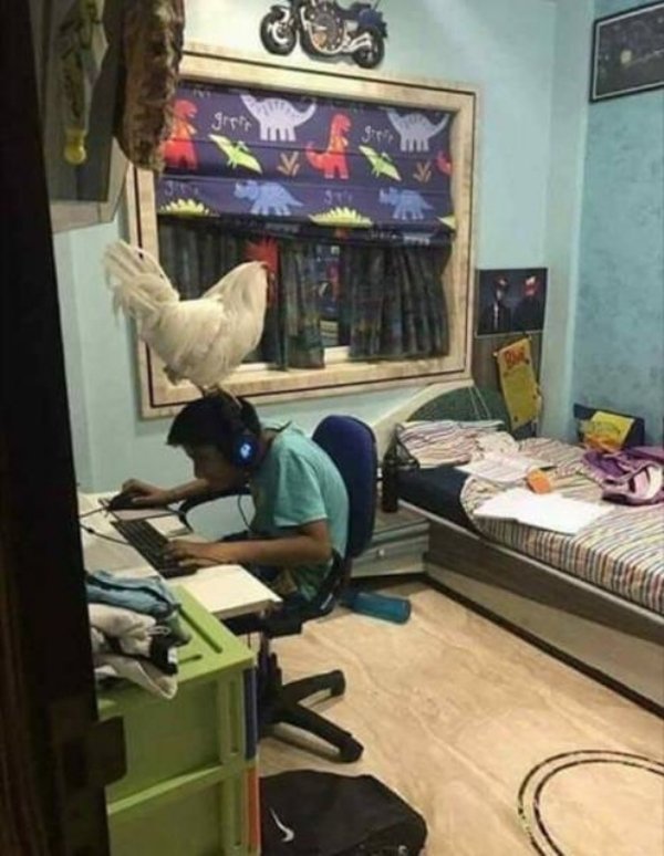    -   ! , , ,  