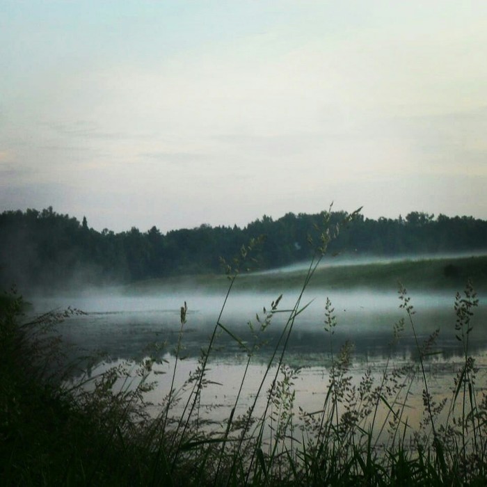 Fog. - My, Fog, River, dawn, Summer, The photo