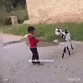 Ответочка