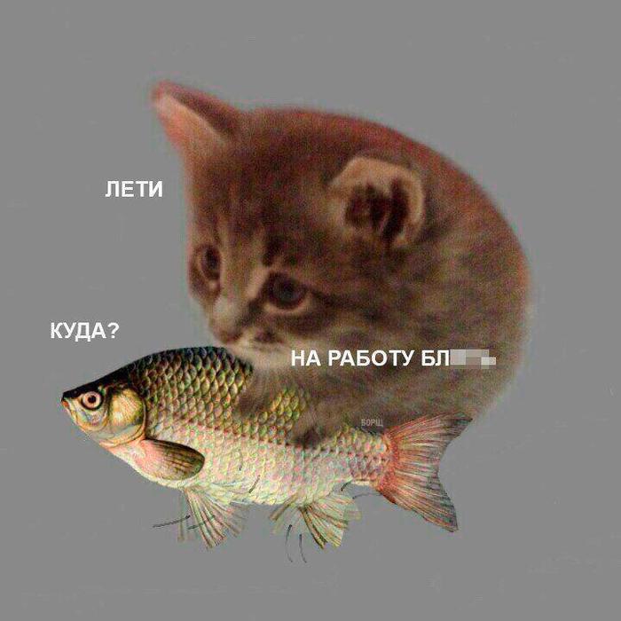 .jpg , ,   , 