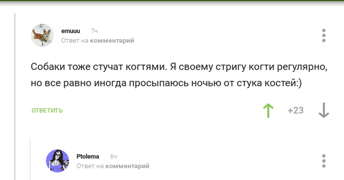 Е а машукова очень шумный пес презентация