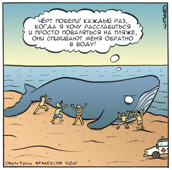 Misunderstanding - Whale, Beach, Animal Rescue, Comics, Nate Fakes