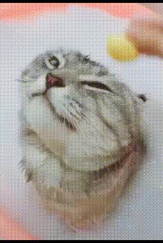 Чёртик,милый чёртик!