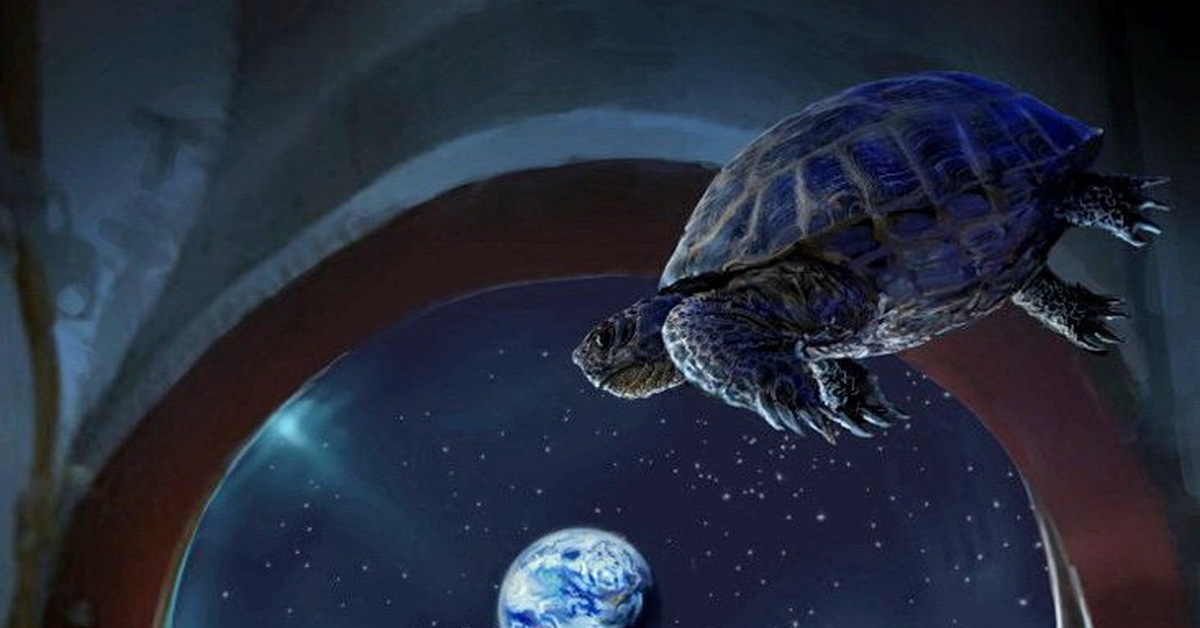 Кто первый облетел луну. Черепахи в космосе 1968. Среднеазиатские черепахи в космосе. Первые черепахи в космосе. Лунная черепаха.