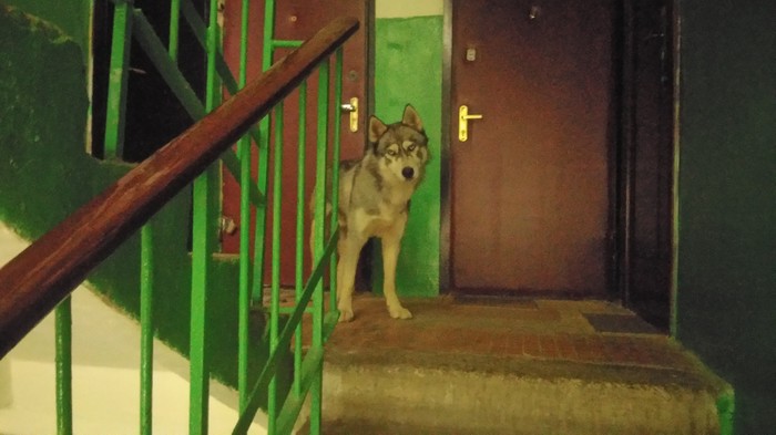 ������ ������� �� �������� � ���� ��� ����� ��������, ������� � ���� �� ��������,