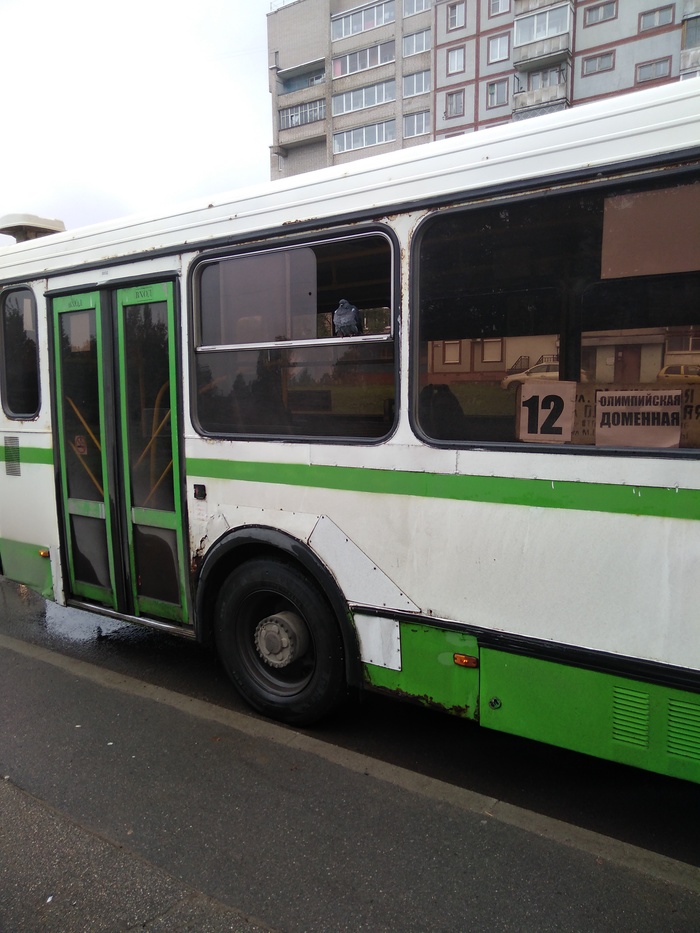 ������� ����� ������������� ������