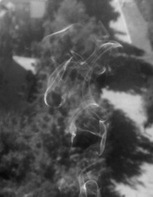 Who sees what?) - My, Cigarettes, Smoke, Black and white photo