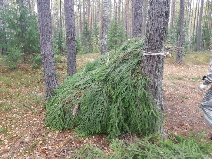 Пикабушное выживание часть 3. Отчёт. Поход, Выживание, Шалаш, Пвд, Природа, Длиннопост
