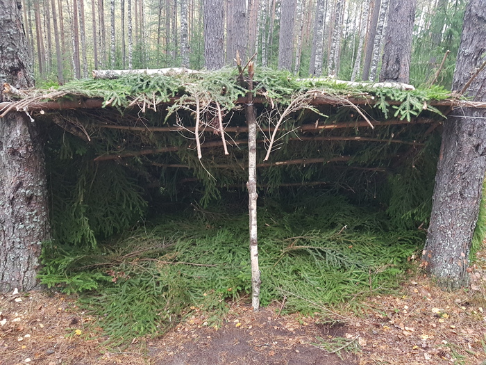 Пикабушное выживание часть 3. Отчёт. Поход, Выживание, Шалаш, Пвд, Природа, Длиннопост