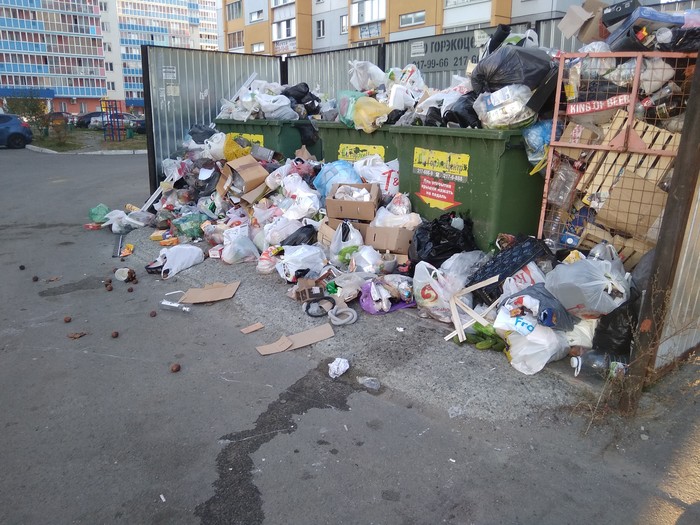 Landfills in Chelyabinsk - My, Chelyabinsk, Garbage, Dump, Trash can