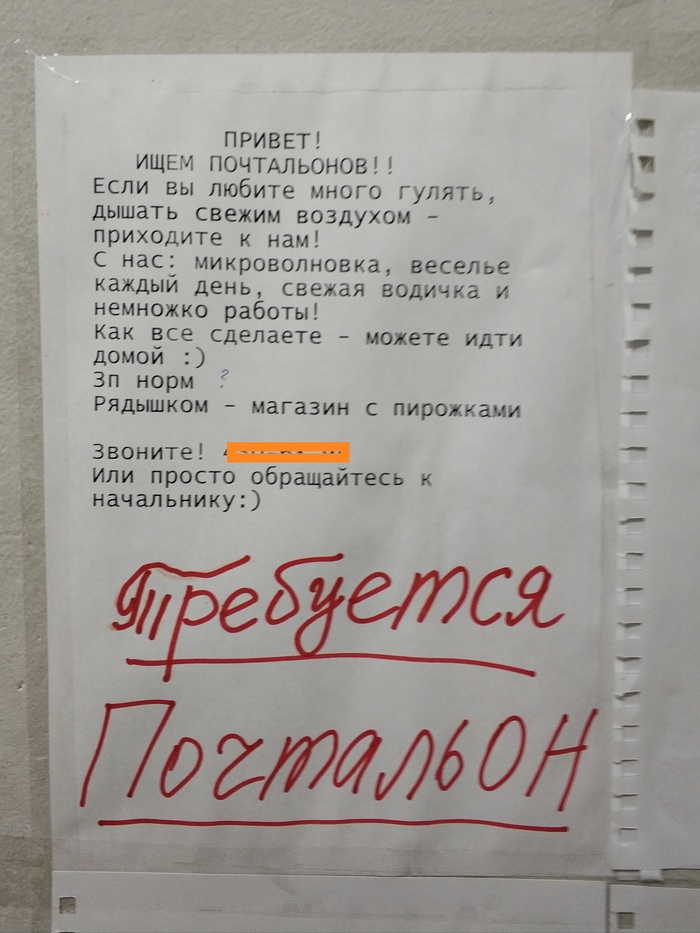 Postman required - My, Saint Petersburg, mail, Work