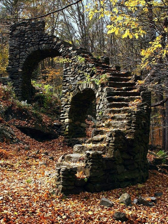 Staircase located in the forest. - The photo, Interesting, Stairs, Forest, Abandoned, Old, Nature