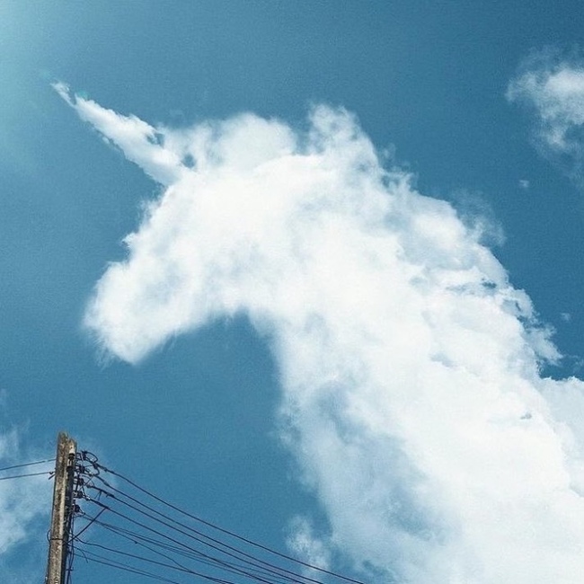 When I went outside in the morning and saw a unicorn in the sky - Unicorn, The photo, Sky