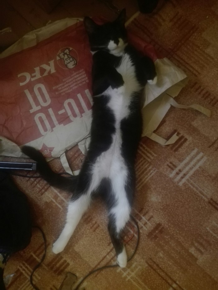 ����� ������ ������� ��������...