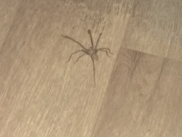 ��������� ����� ������!