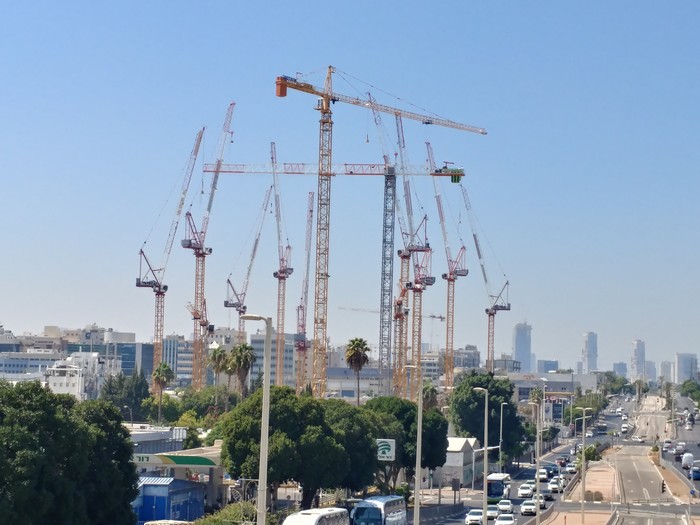 Жирафы на водопое