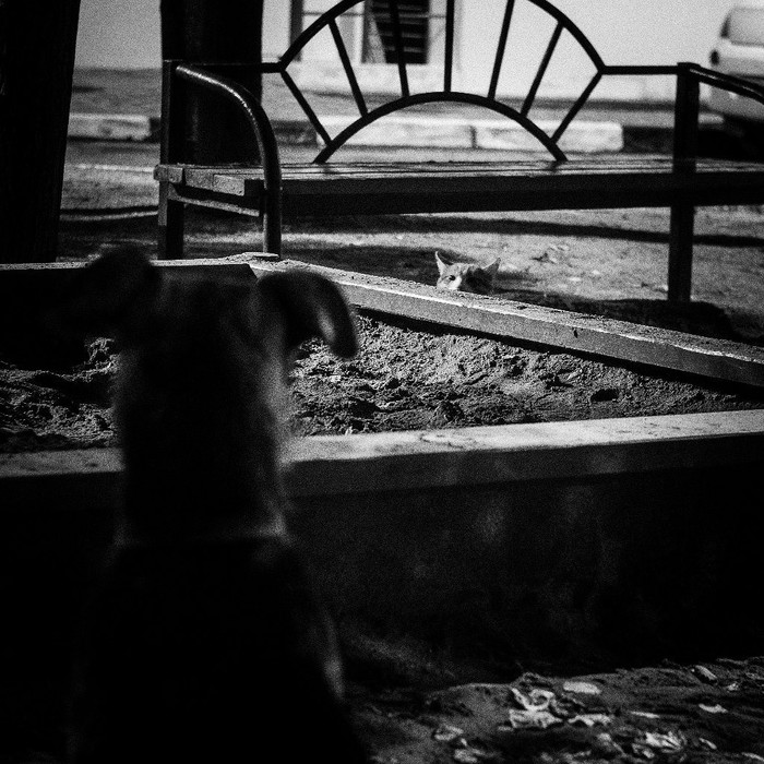 �������� ����������� #2 ��� �������