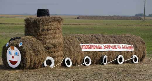 I am BELARUSIAN! - My, Longpost, Republic of Belarus, Straw, Creation, The photo