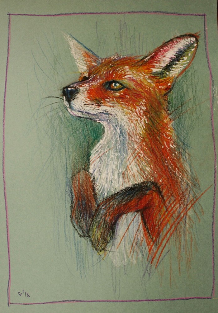 Fox - My, Drawing, Fox, Animals, Animalistics