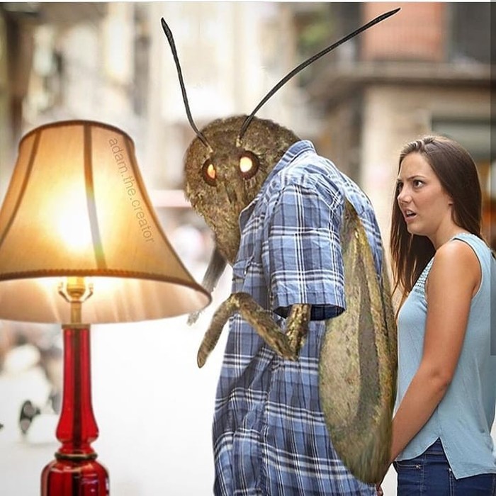 Well, just light. - Butterfly, Memes, Лампа