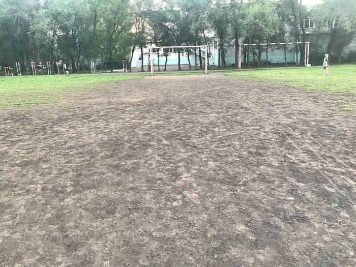 Grass lawn for the football field. Need your help! - My, Football, Lawn, Landscape design