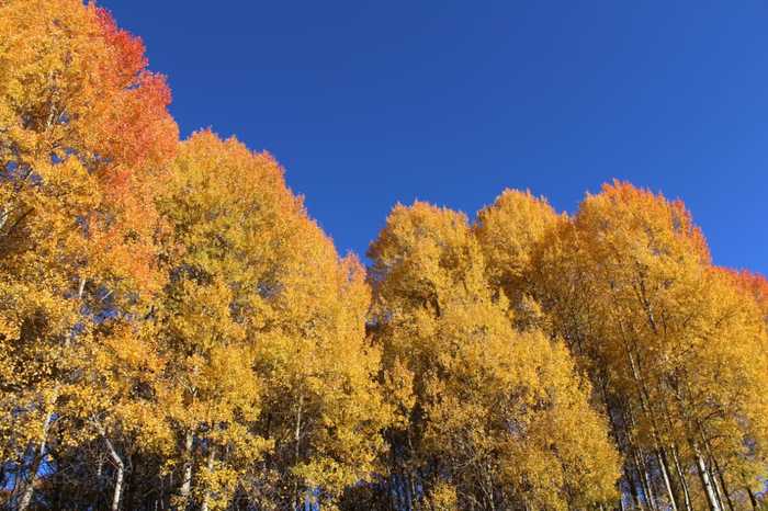 Beauty from nature - My, Nature, Kazakhstan, Ust-Kamenogorsk, Gornaya Ulbinka, beauty of nature, Longpost